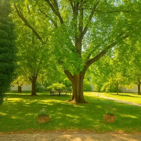 Wilson Premium Apartman